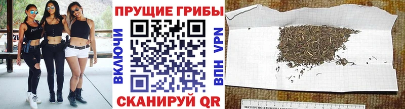 blacksprut зеркало  Юрга  Галлюциногенные грибы мухоморы 