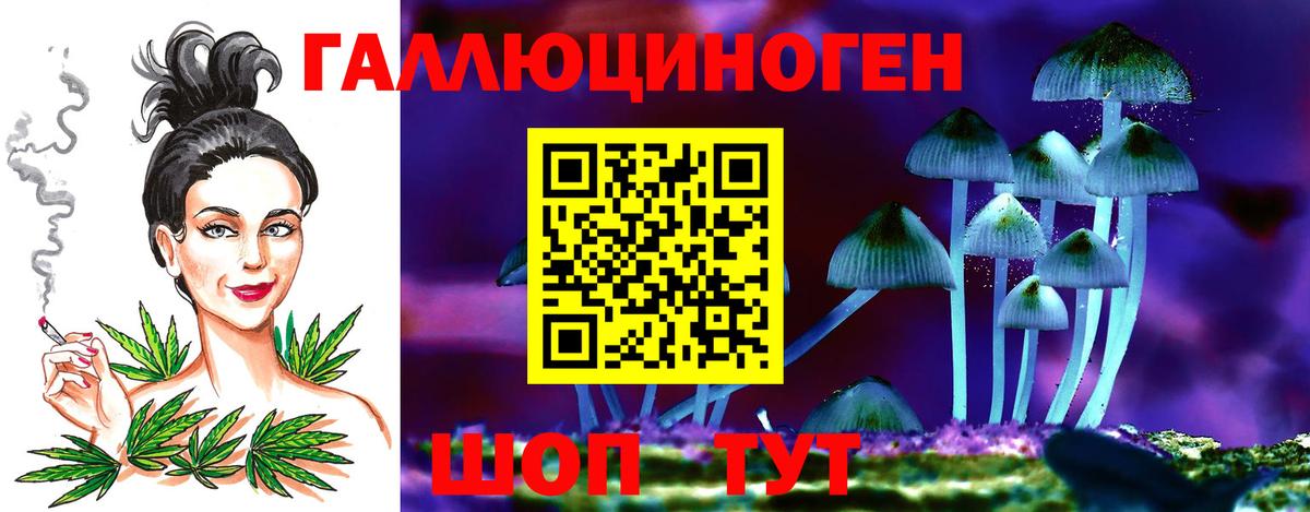 Юрга  Галлюциногенные грибы Psilocybine cubensis  Галлюциногенные грибы Cubensis  Вход с VPN 